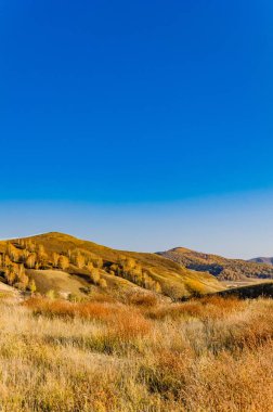çayır kuzeyinde Çin alınan derin sonbahar/fotoğraf.
