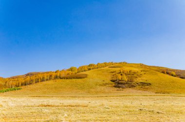 çayır kuzeyinde Çin alınan derin sonbahar/fotoğraf.