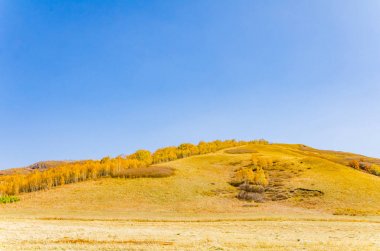çayır kuzeyinde Çin alınan derin sonbahar/fotoğraf.