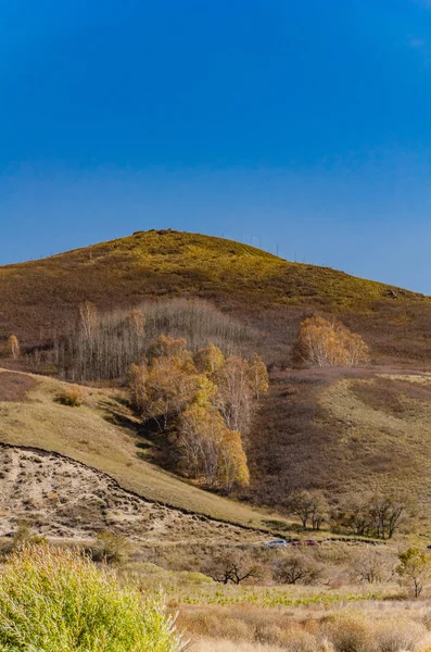 Луки Глибокий Осінь Прийняті Півночі Китаю — стокове фото