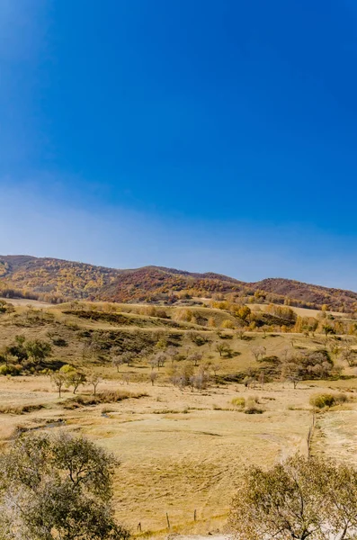 Prairie Глибокої Осені Фото Прийняті Півночі Китаю — стокове фото