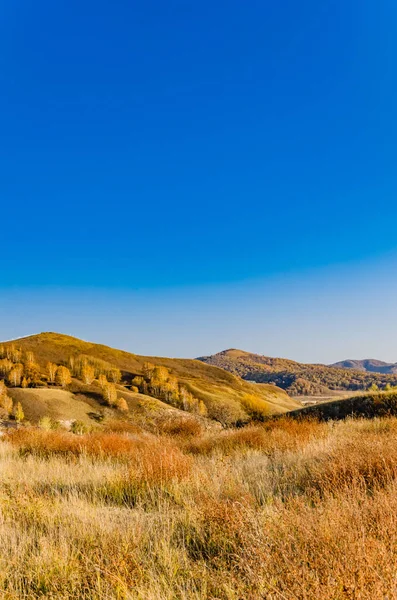 Prairie Глибокої Осені Фото Прийняті Півночі Китаю — стокове фото