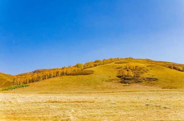 çayır kuzeyinde Çin alınan derin sonbahar/fotoğraf.