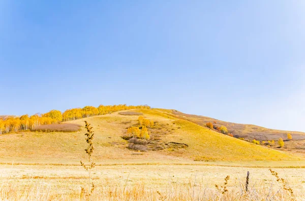 Prairie Глибокої Осені Фото Прийняті Півночі Китаю — стокове фото