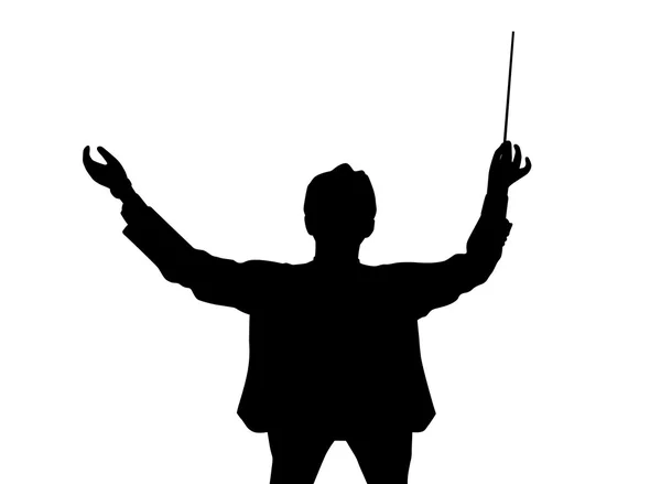 Music conductor back from a bird's eye view Stock Vector