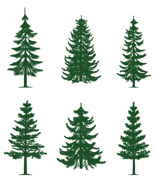 Green pine trees collection — Stock Vector