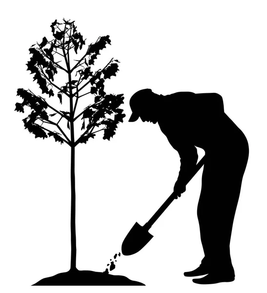Hombre plantando un árbol — Archivo Imágenes Vectoriales