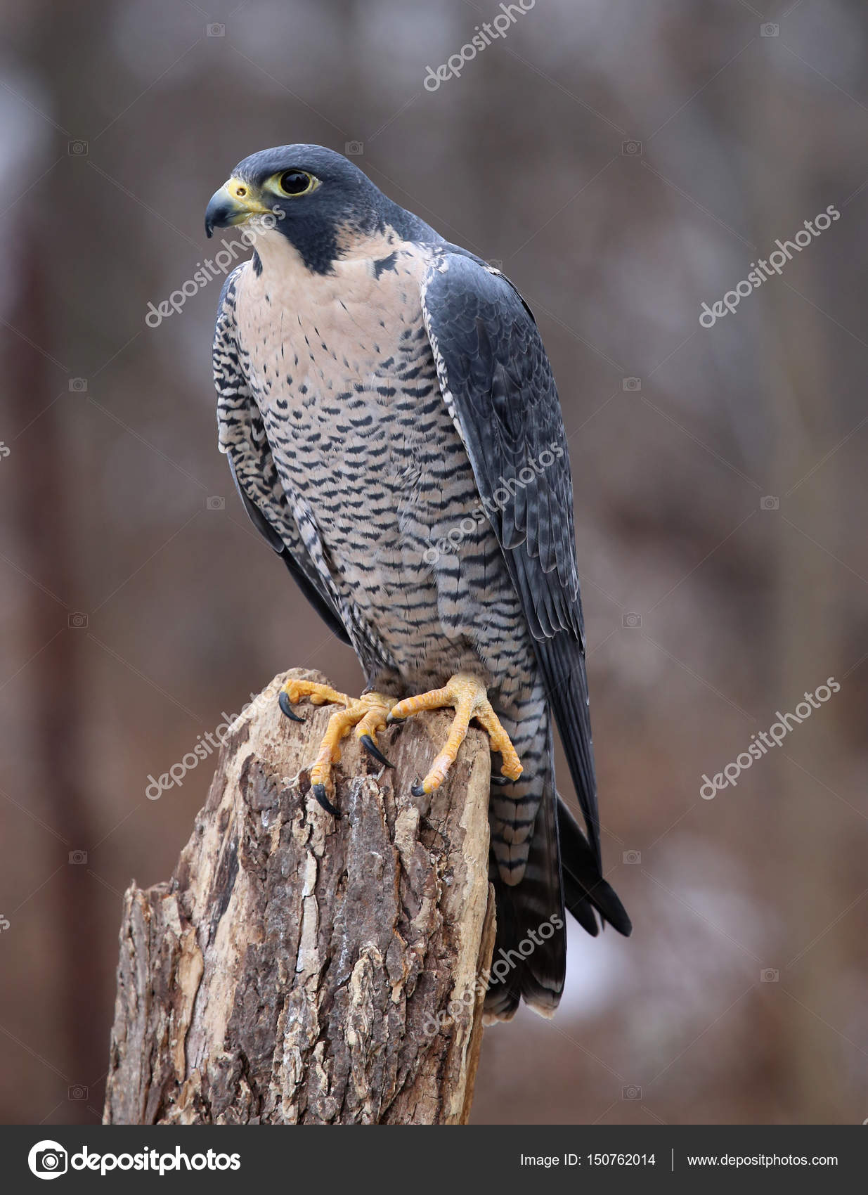 스파가 있습니다 세계에서 — 스톡 사진 © ca2hill #150762014