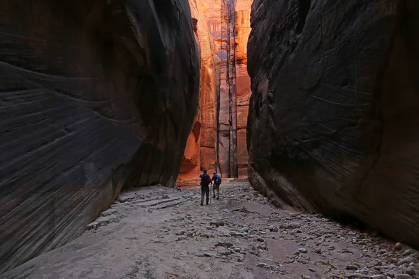 Hirschleder-Schlucht orange — Stockfoto