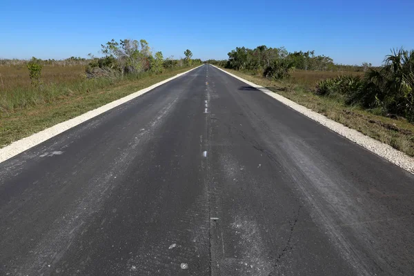Den Main Park Road Kör Genom Everglades Nationalpark Florida — Stockfoto