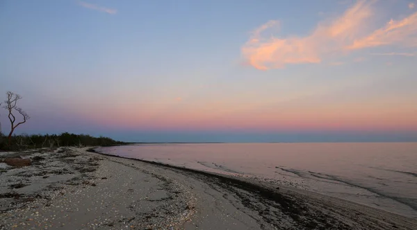 Tramonto Sul Capo Est Del Parco Nazionale Delle Everglades Florida — Foto Stock