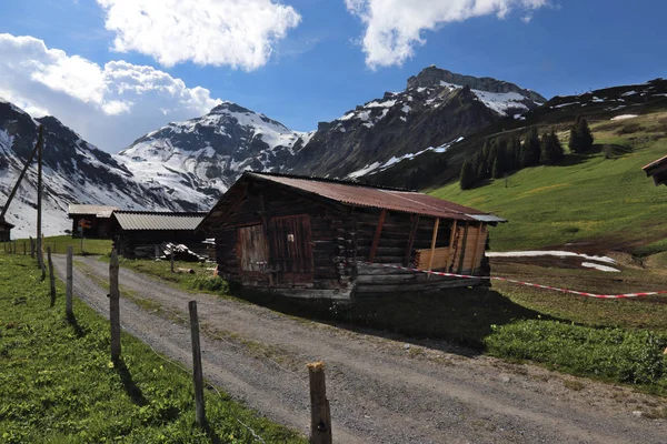 Arka Planda Bernese Alpleri Olan Murren Sviçre Nin Dışındaki Kulübeler — Stok fotoğraf