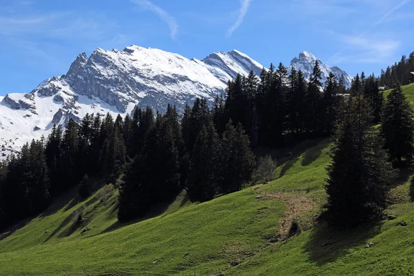 Kopce Poblíž Murren Švýcarsko Nachází Bernese Highlands — Stock fotografie