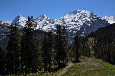 Eiger, Monch ve Jungfrau, İsviçre 'nin Bernese Alpleri' nde ufukta. Murren köyünün hemen dışından vurulmuş..