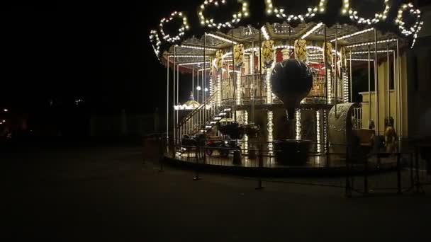County fair fairground karusell på natten — Stockvideo