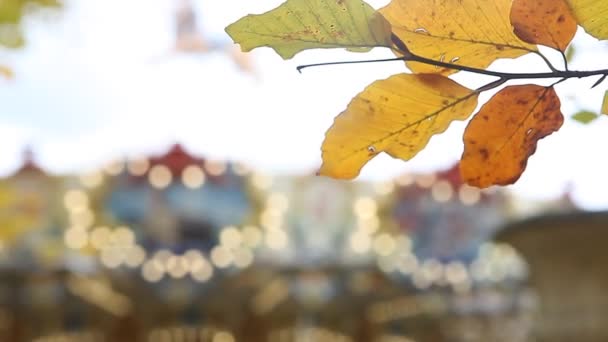 Yellow autumn leaves with merry-go-round in background — Stock Video