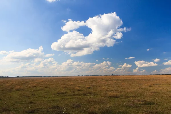 Schöne gelbe Feld und Wolken Himmel — Stockfoto