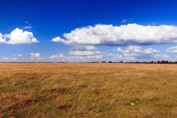 Schöne gelbe Feld und Wolken Himmel — Stockfoto