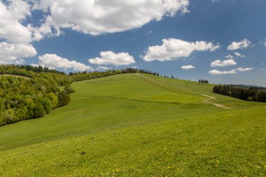 Dağ manzarası, doğanın güzelliği