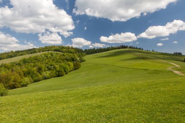 Dağ manzarası, doğanın güzelliği