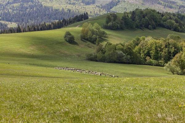 Mountain landscape, beauty of nature — Stock Photo, Image