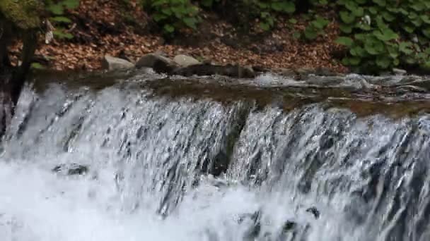 Rápida corriente de montaña con cascada — Vídeos de Stock