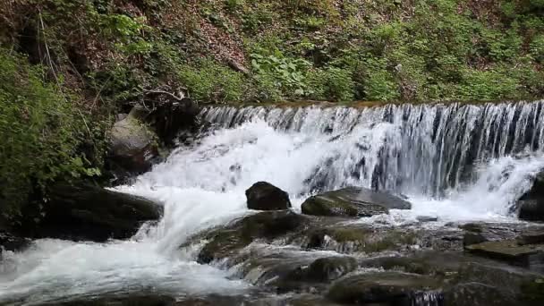 Schneller Gebirgsbach mit Wasserfall — Stockvideo