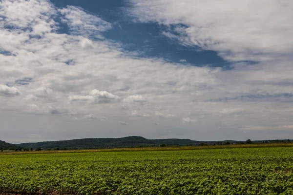 Ländliche Szene mit ziemlich bewölktem Himmel — Stockfoto