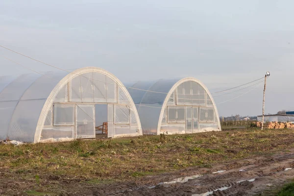 農産物の栽培のための温室 — ストック写真