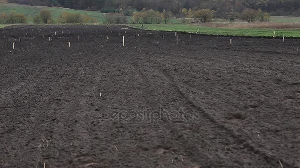 Landbouw Gecultiveerd Veld Voorbereid Voor Aanplant Van Gewassen — Stockvideo