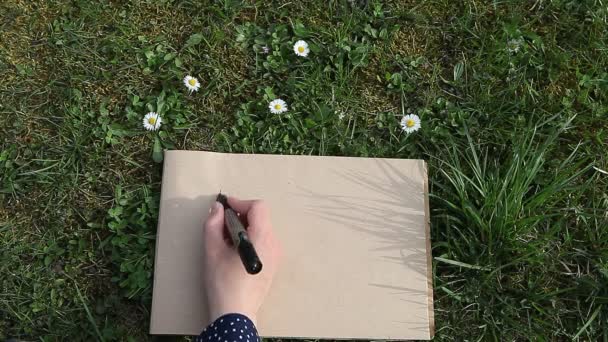 Femme écriture ECO sur papier pose herbe de printemps vert sur une journée ensoleillée 