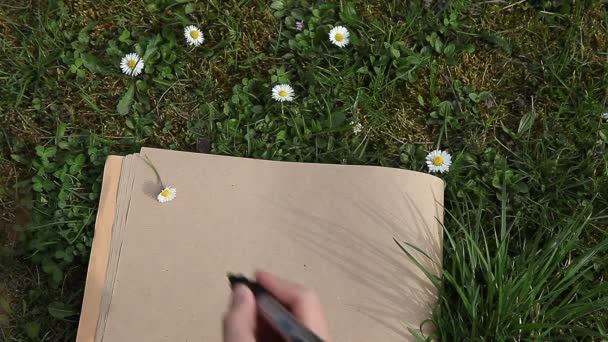 Weibliche Handschrift Öko Auf Papier Legt Grünes Frühlingsgras Sonnigem Tag — Stockvideo