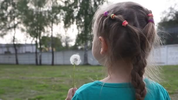 Young Child Girl Blowing Away Dandelion — Stock Video