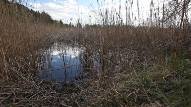 Bulutlu ve bulutlu gökyüzü ile güzel bir günde göl kenarında balık tutma yeri.