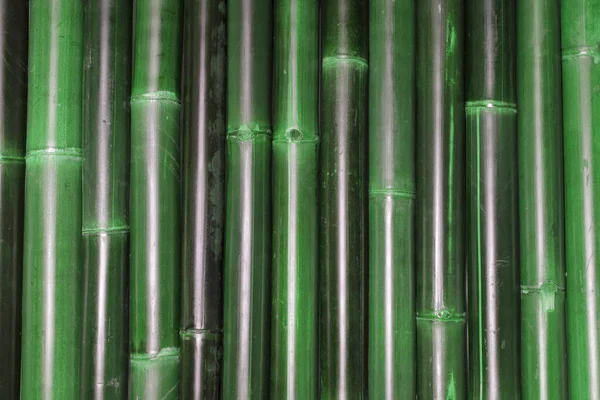 Row of Bamboo Canes — Stock Photo, Image