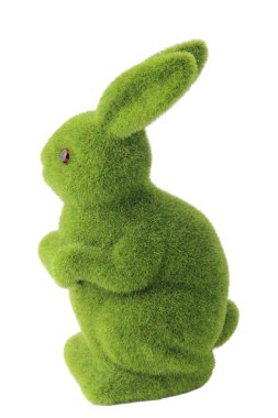 Yeşil yosun tavşan