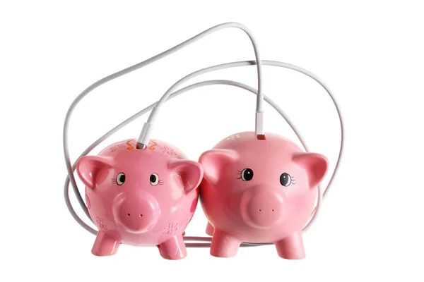 Piggy banken met kabel — Stockfoto