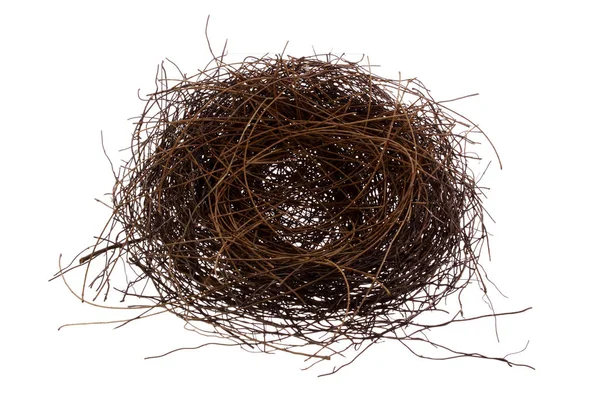 Een bird's nest — Stockfoto