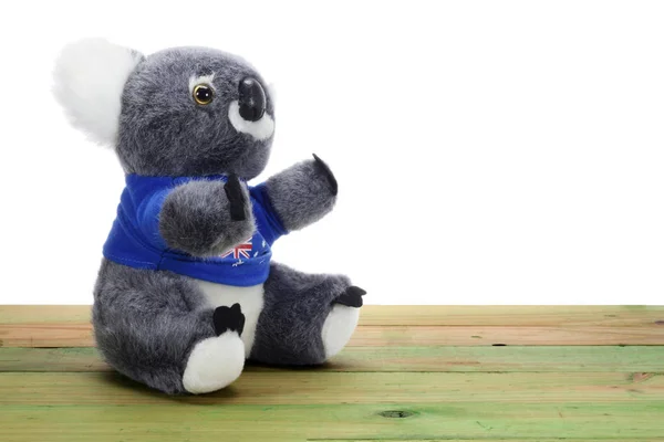 Giocattolo morbido Koala — Foto Stock