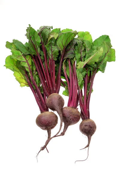 Bunch of Beetroot — Stock Photo, Image