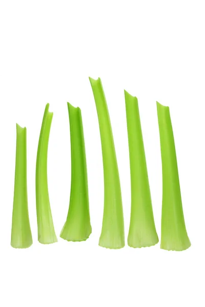 Row of Celery Stalks — Stock Photo, Image