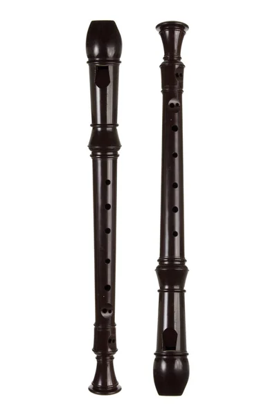 Two Black Recorders — Stock Photo, Image