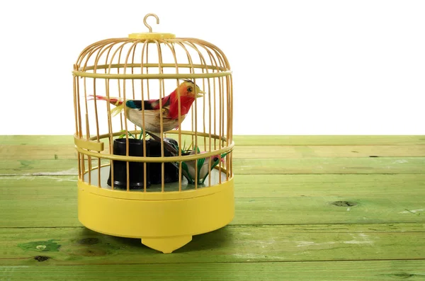 Juguete pájaro en jaula — Foto de Stock