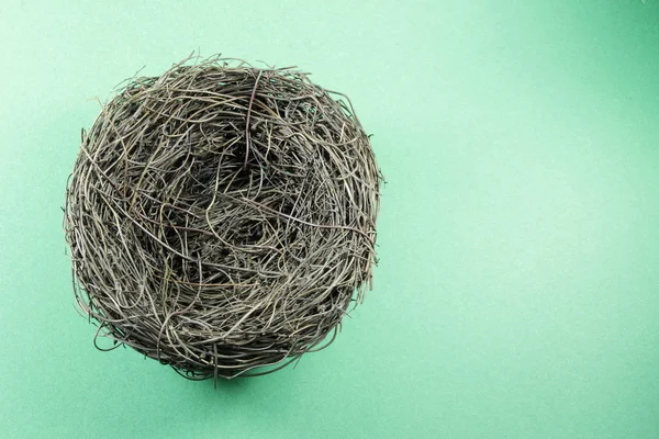A Bird Nest — Stock Photo, Image