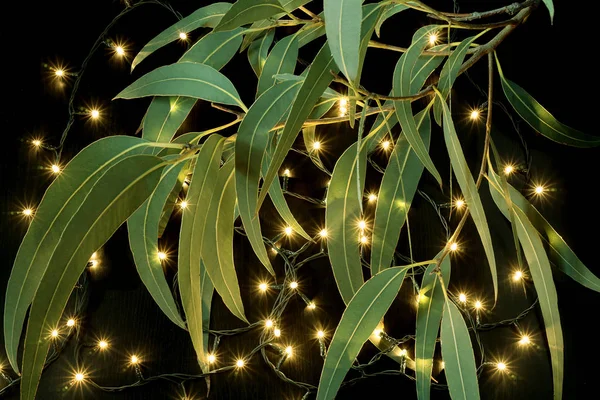 Luzes de fadas e folhas de goma — Fotografia de Stock