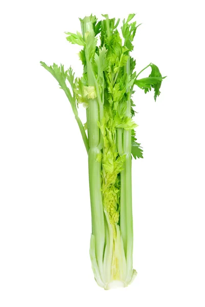 Banda celeru — Stock fotografie