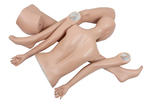 Body Parts of Mannequin — Stock Photo, Image