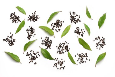 Peppercorn ve Lemon Myrtle Beyaz Arkaplanda Yapraklar