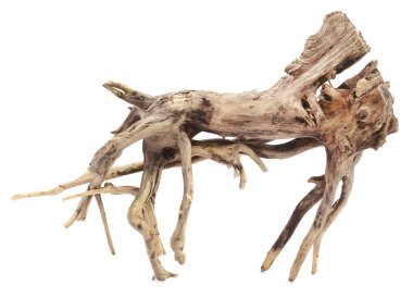 Driftwood 'a yaklaş