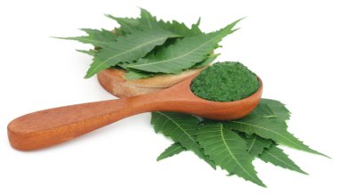 Yere yapıştır ile tıbbi neem yaprağı